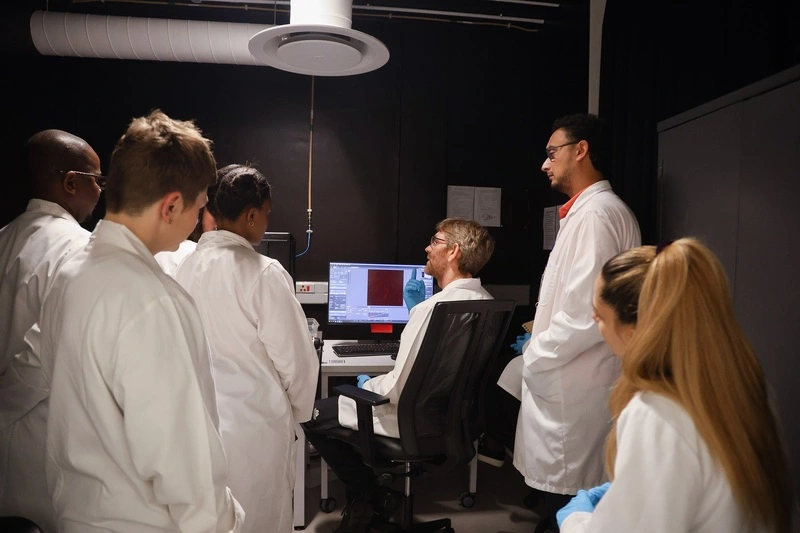 UCT researchers join multi-million-pound fungal fight